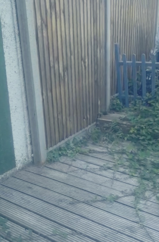 Cherry's side entrance before